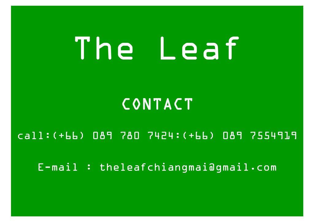 The Leaf Chiangmai Service